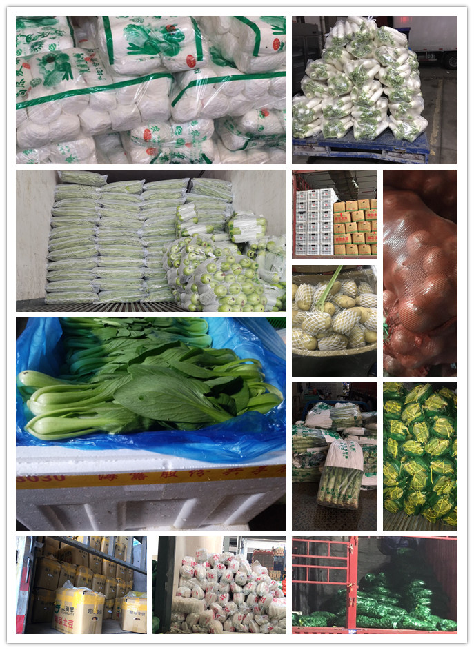 J9旗舰厅(中国区)官方网站