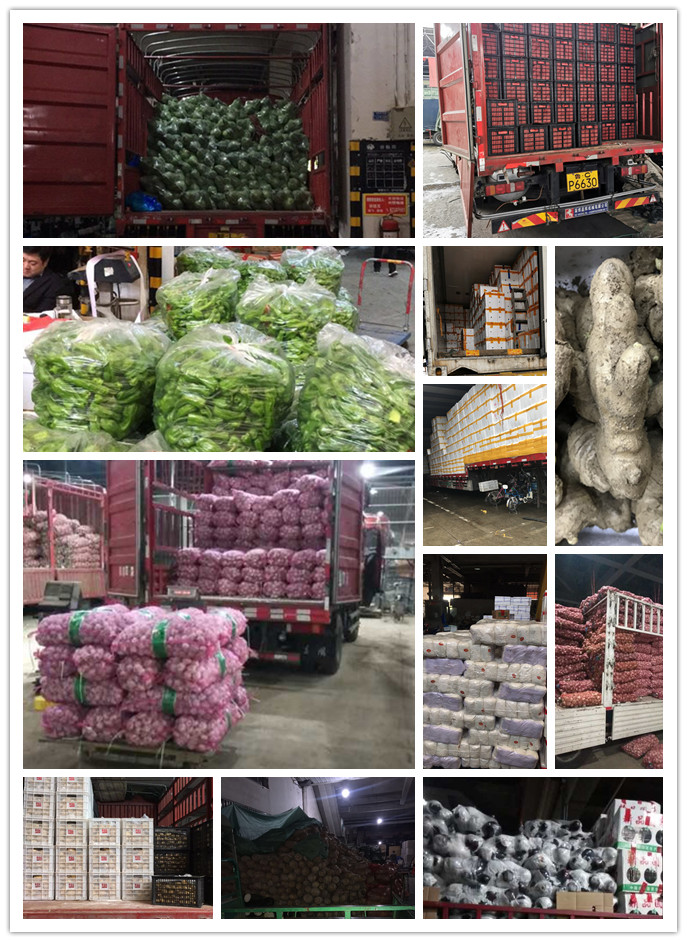 J9旗舰厅(中国区)官方网站