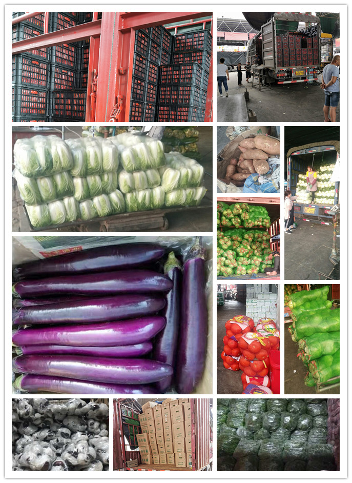 J9旗舰厅(中国区)官方网站