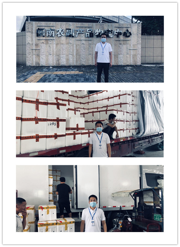 J9旗舰厅(中国区)官方网站