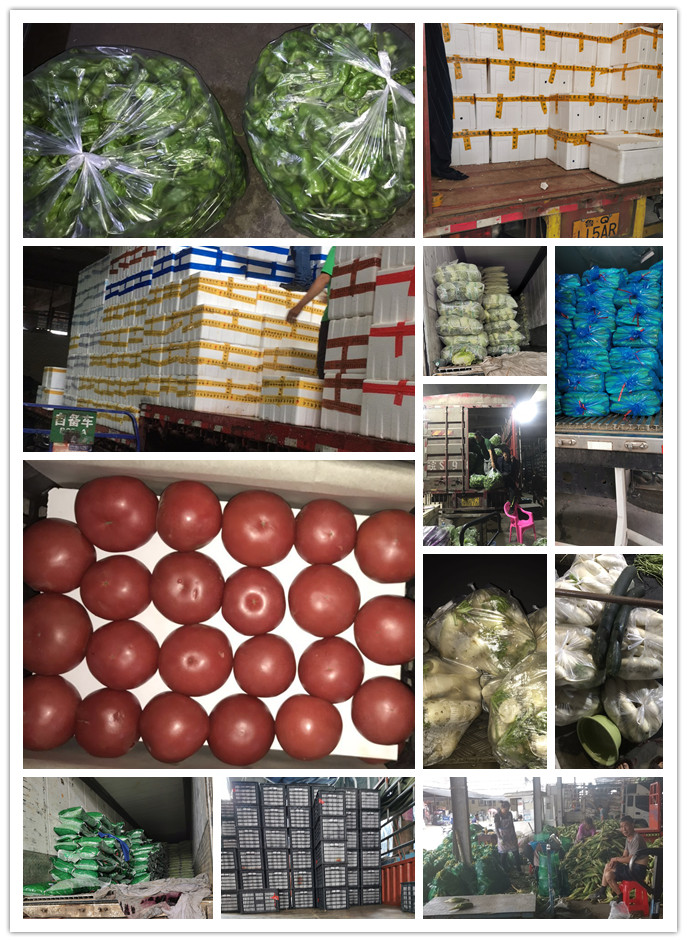 J9旗舰厅(中国区)官方网站