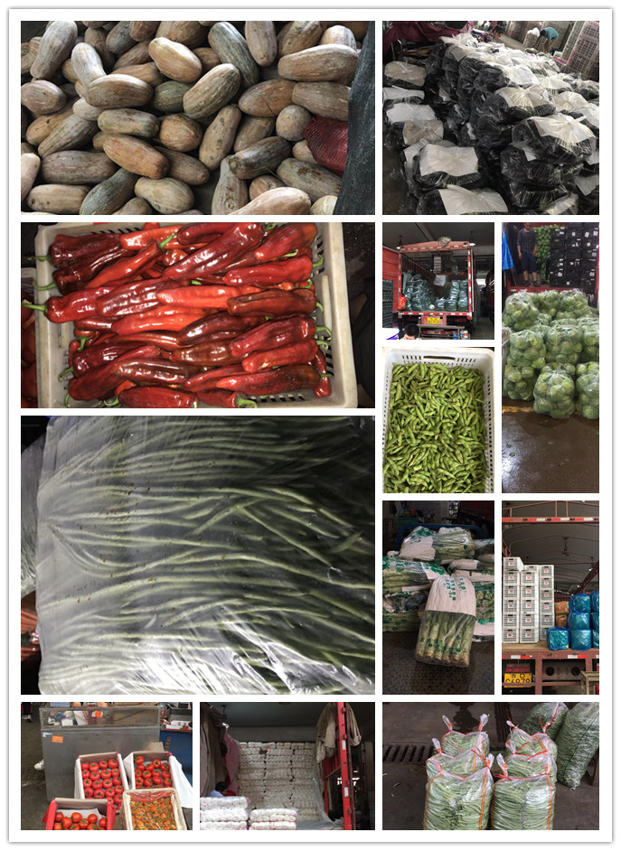 J9旗舰厅(中国区)官方网站