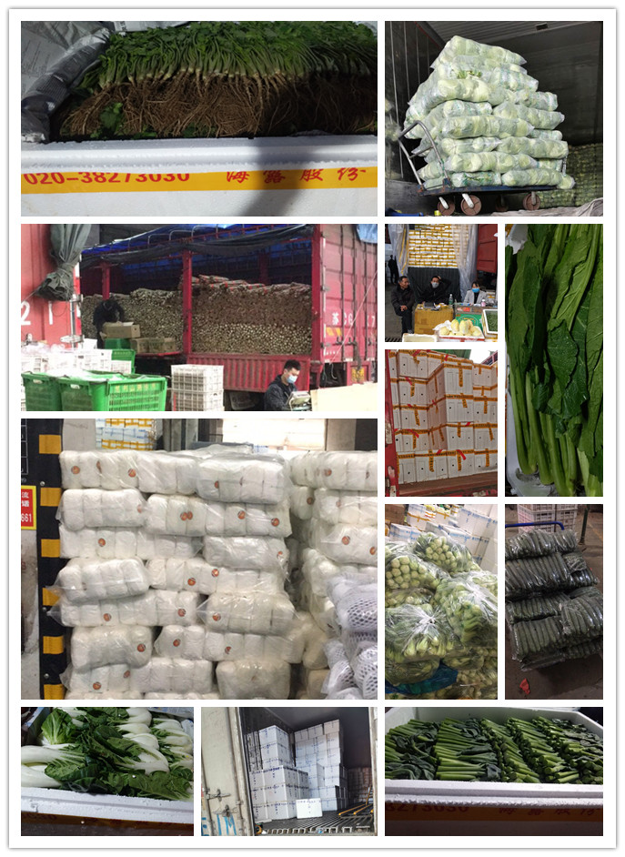 J9旗舰厅(中国区)官方网站