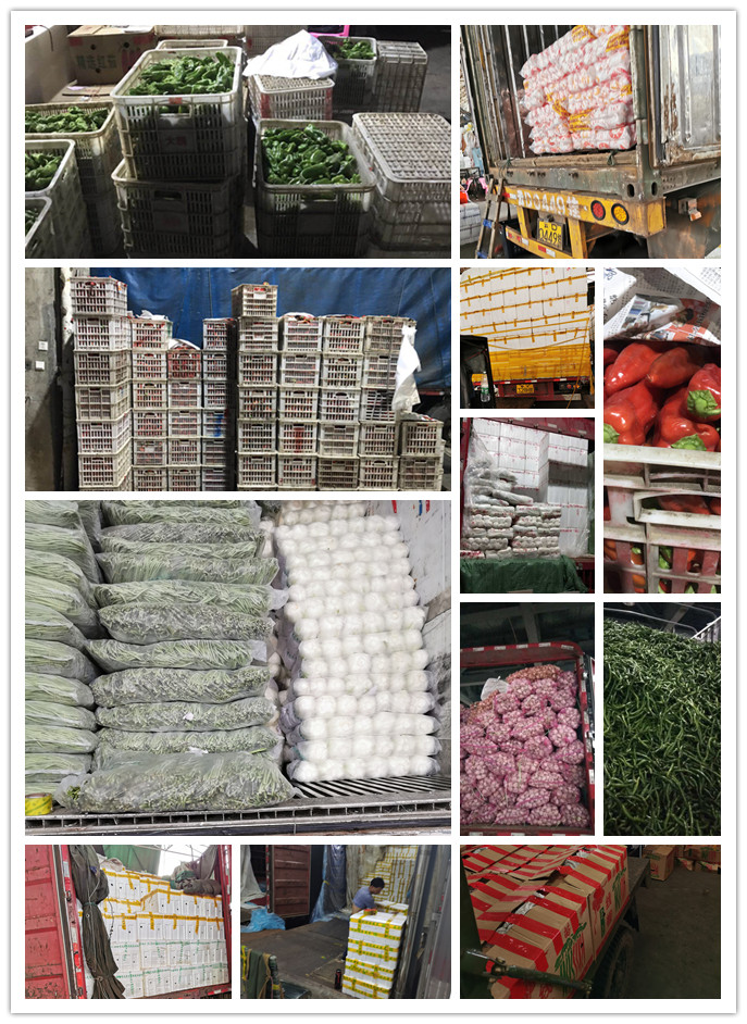 J9旗舰厅(中国区)官方网站