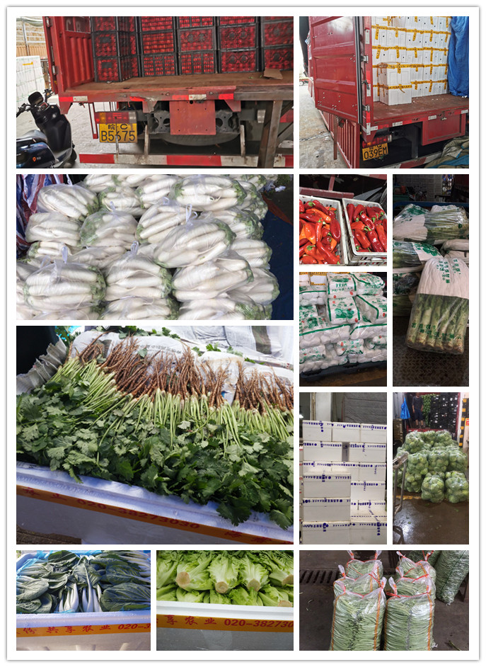 J9旗舰厅(中国区)官方网站