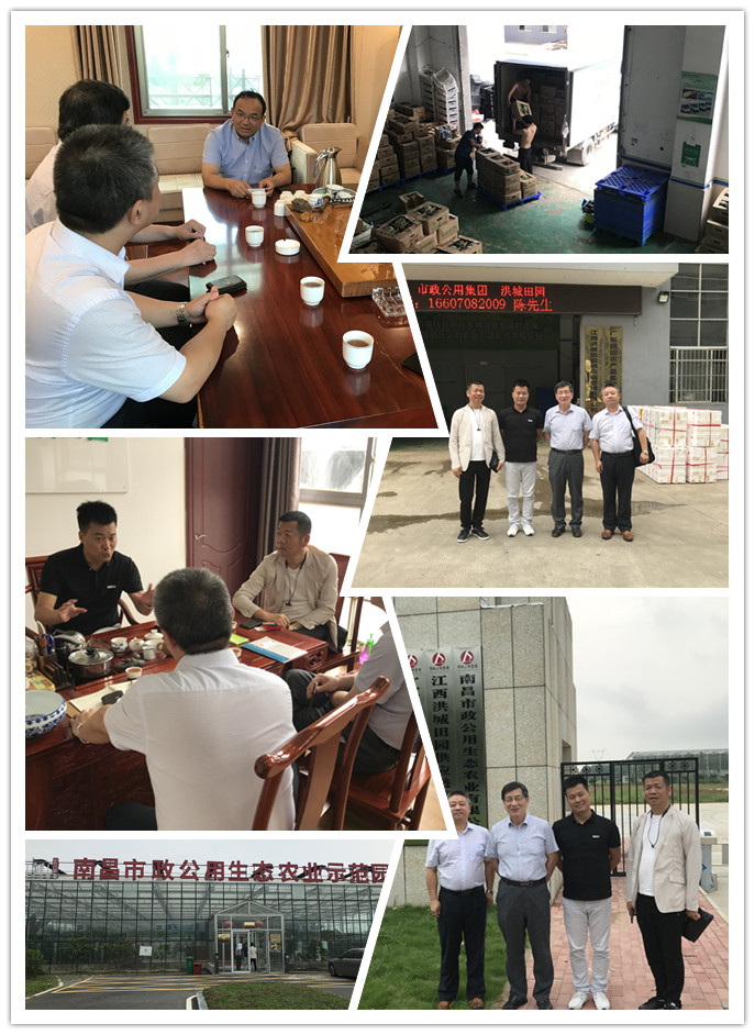 J9旗舰厅(中国区)官方网站