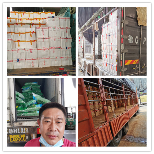 J9旗舰厅(中国区)官方网站