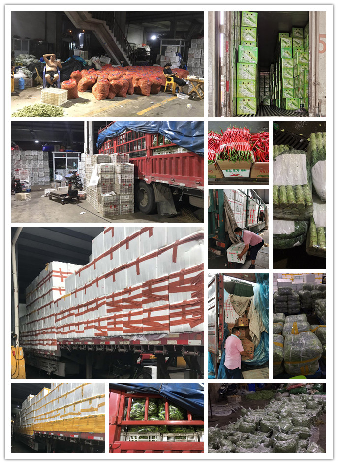 J9旗舰厅(中国区)官方网站