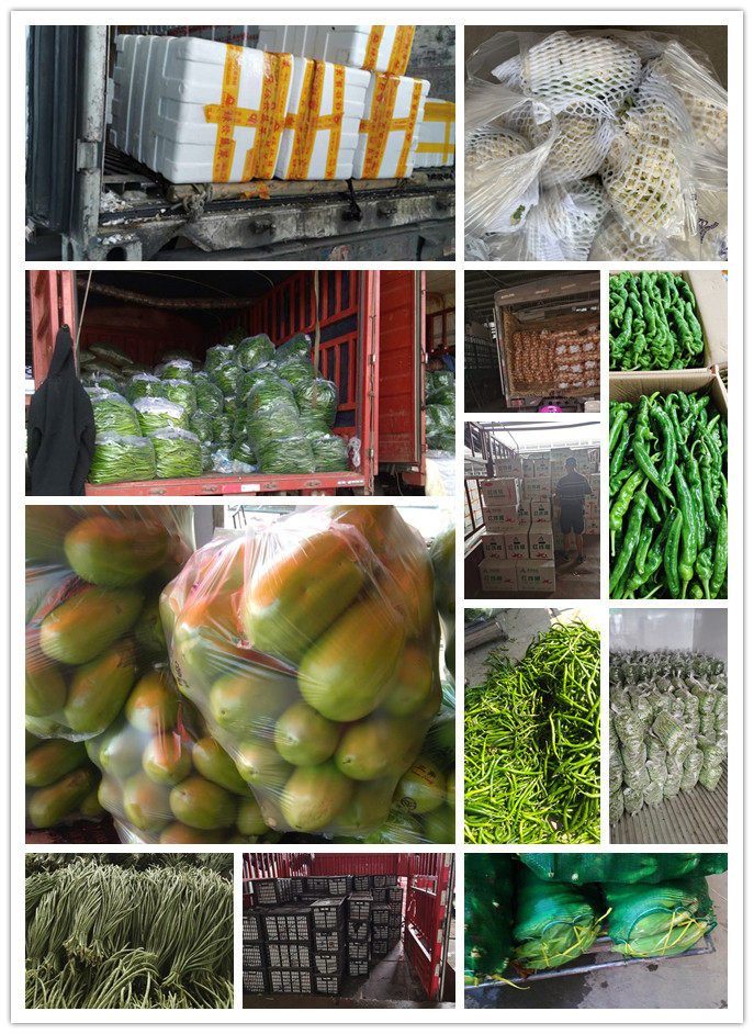 J9旗舰厅(中国区)官方网站