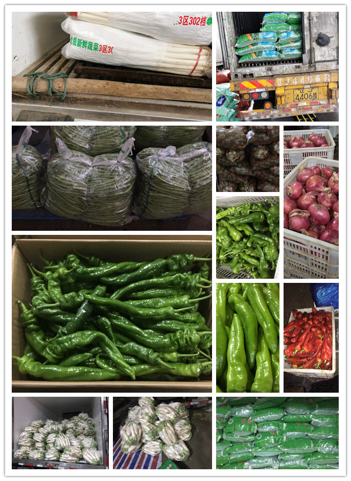 J9旗舰厅(中国区)官方网站