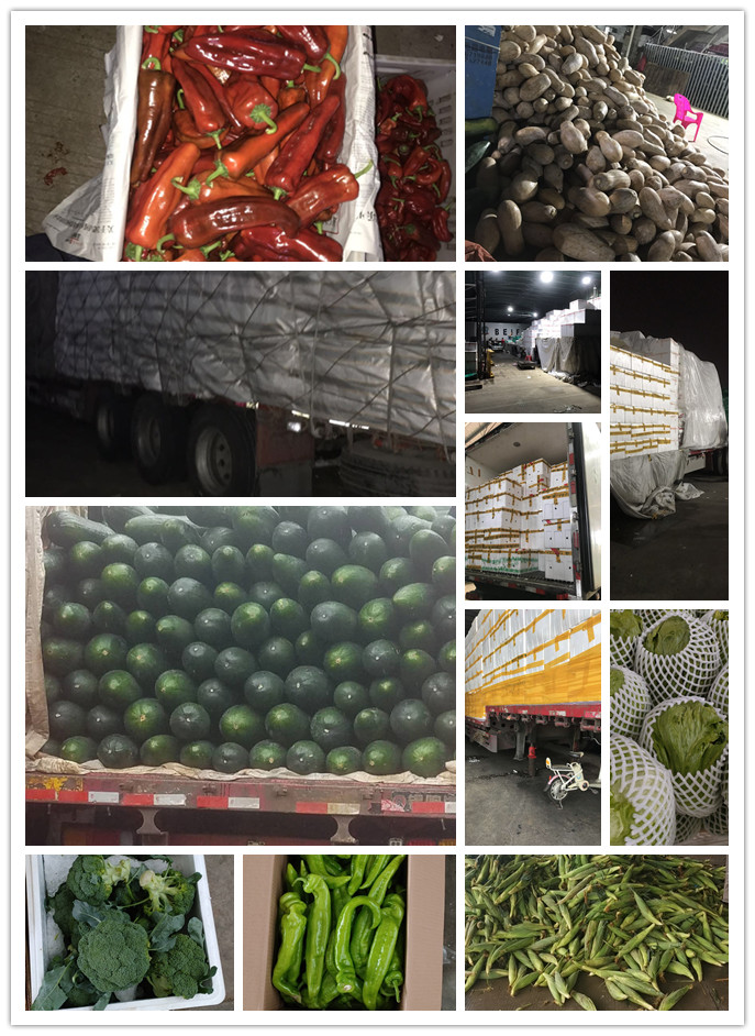 J9旗舰厅(中国区)官方网站