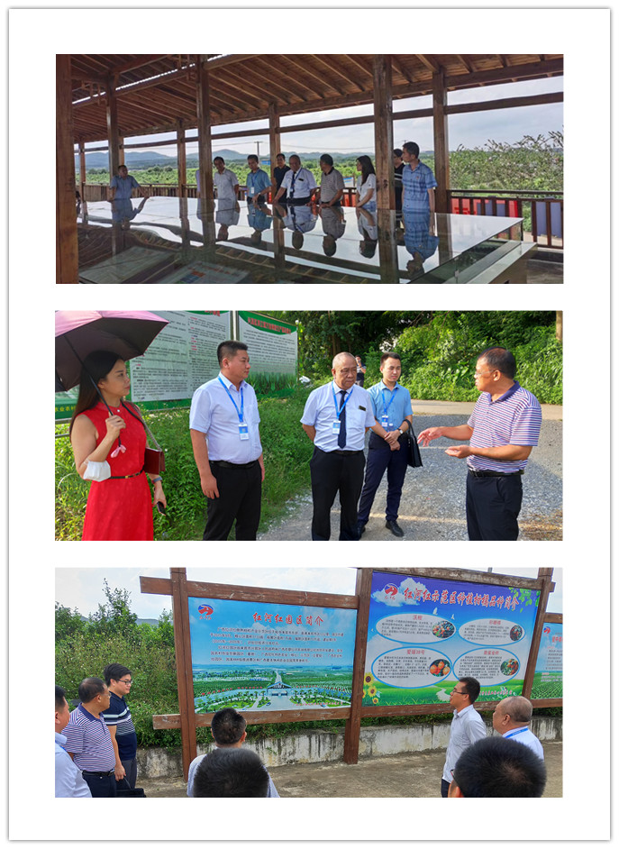 J9旗舰厅(中国区)官方网站