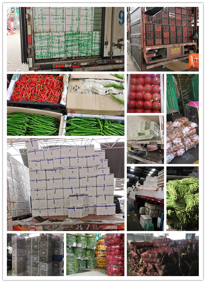 J9旗舰厅(中国区)官方网站