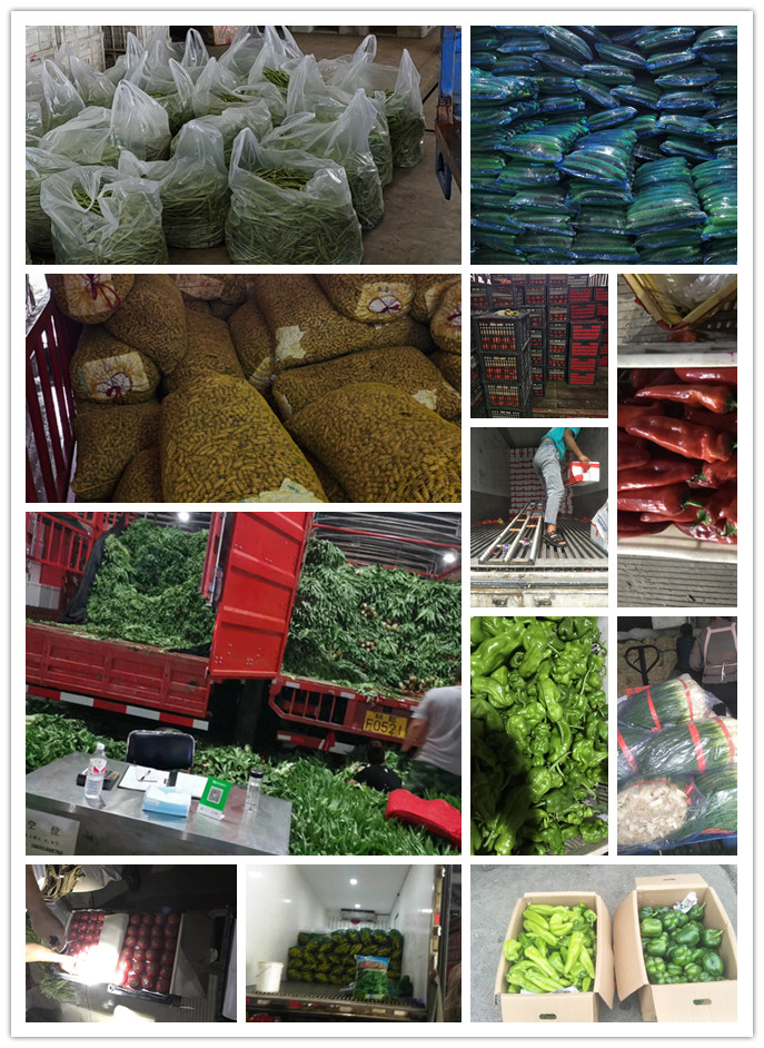 J9旗舰厅(中国区)官方网站