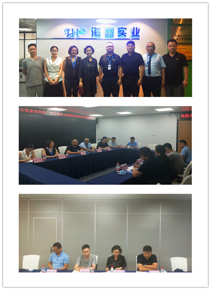 J9旗舰厅(中国区)官方网站