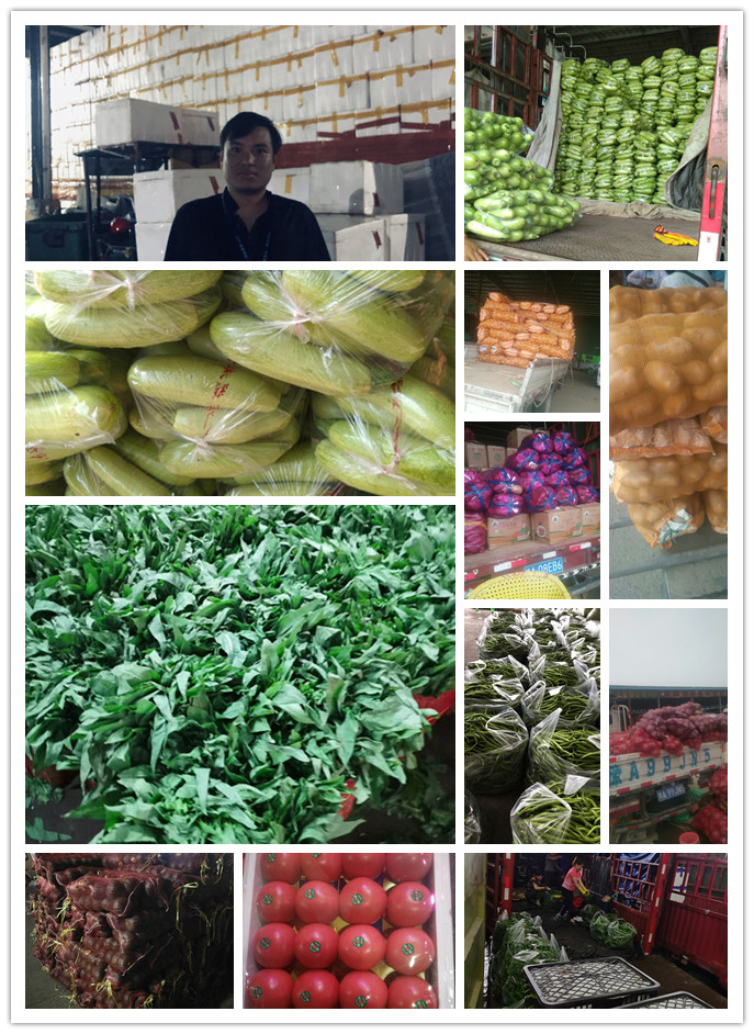 J9旗舰厅(中国区)官方网站