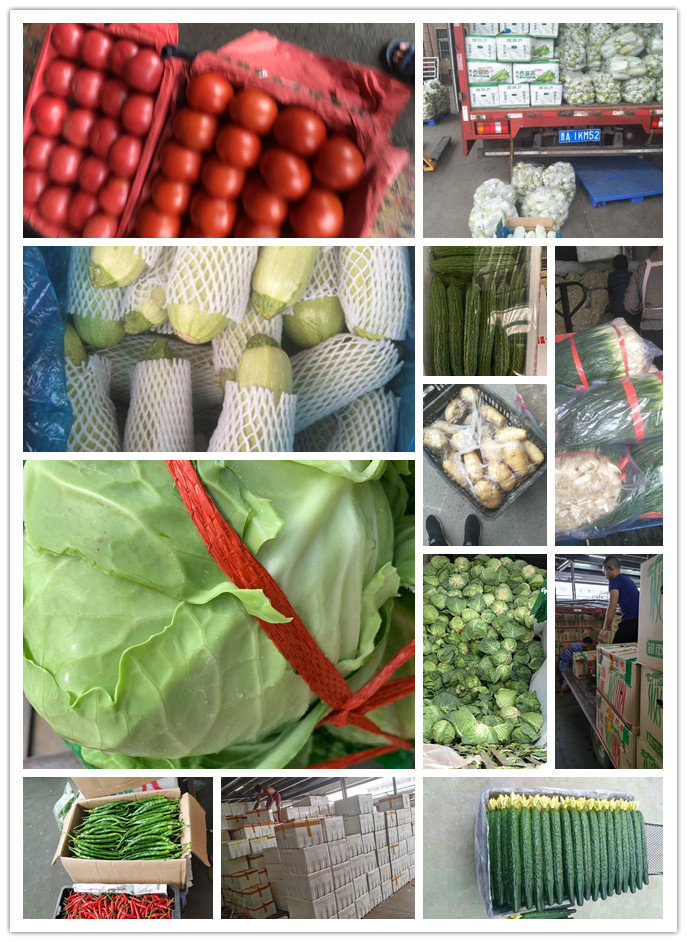 J9旗舰厅(中国区)官方网站