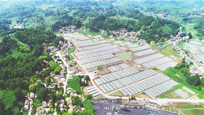 J9旗舰厅(中国区)官方网站