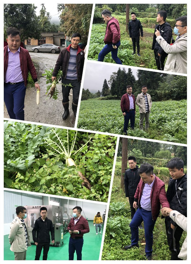 J9旗舰厅(中国区)官方网站