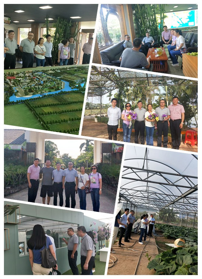 J9旗舰厅(中国区)官方网站