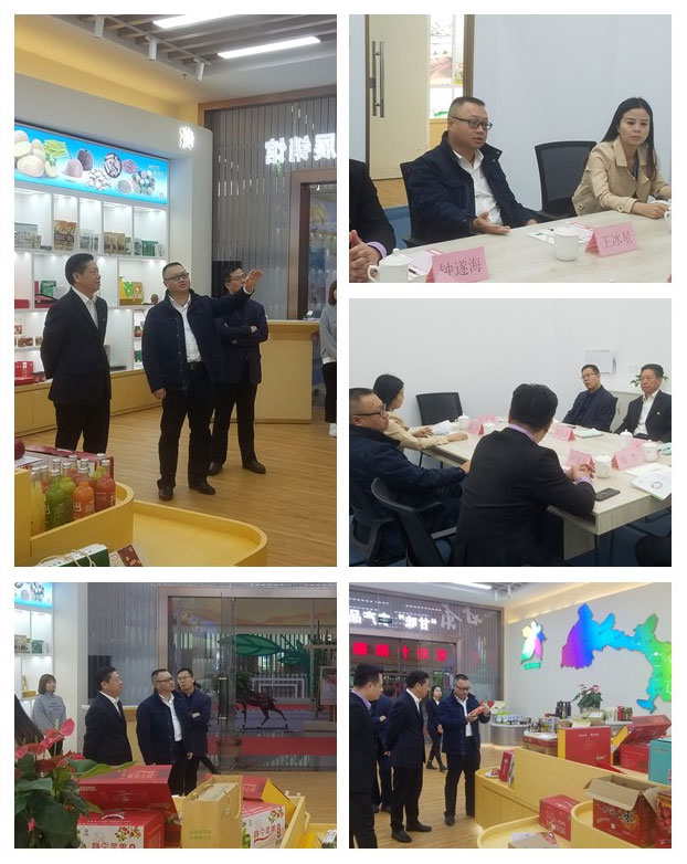 J9旗舰厅(中国区)官方网站