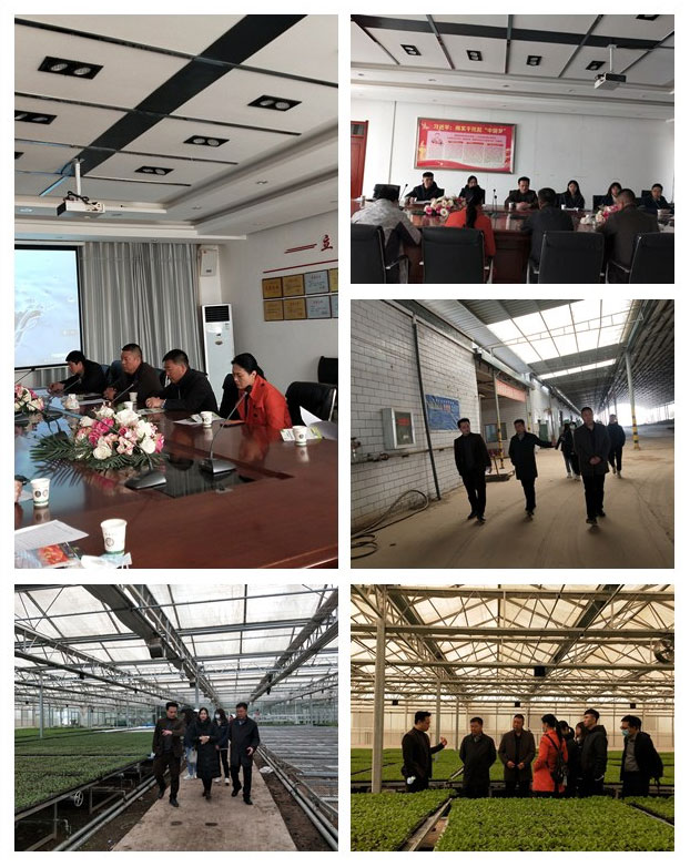 J9旗舰厅(中国区)官方网站