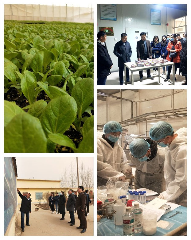 J9旗舰厅(中国区)官方网站