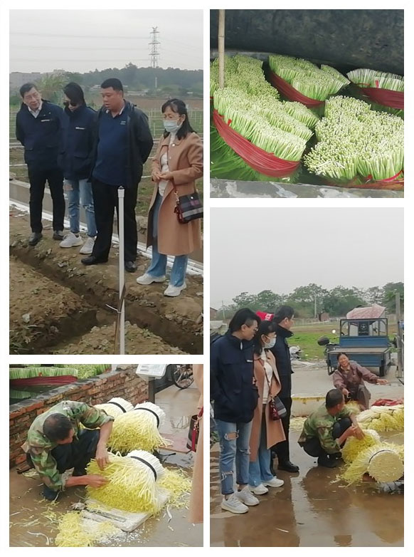 J9旗舰厅(中国区)官方网站