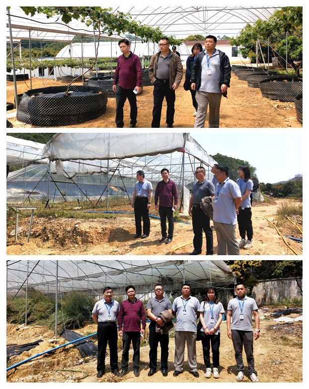 J9旗舰厅(中国区)官方网站