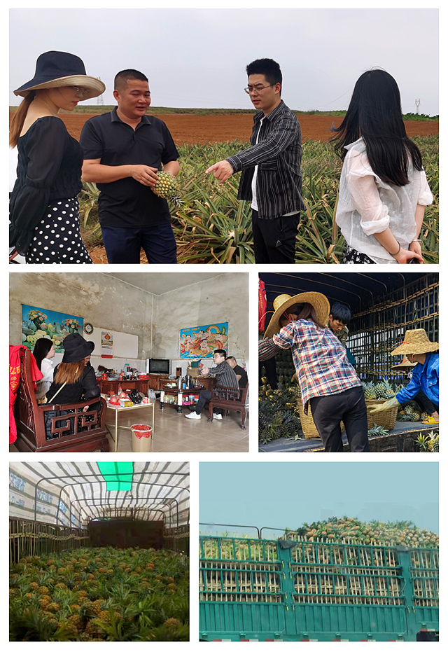 J9旗舰厅(中国区)官方网站