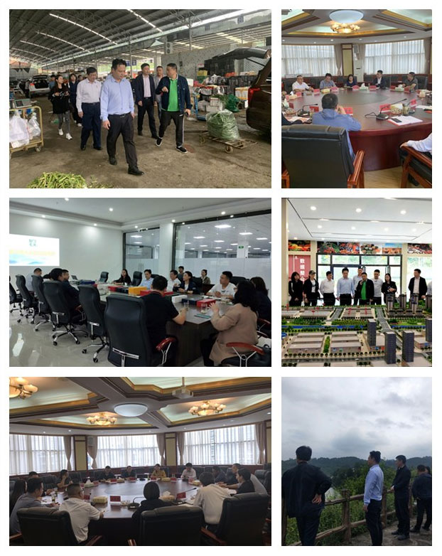 J9旗舰厅(中国区)官方网站