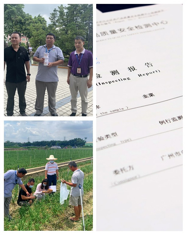 J9旗舰厅(中国区)官方网站