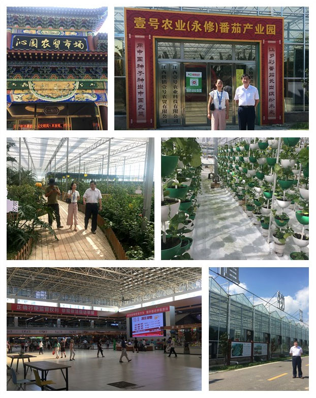 J9旗舰厅(中国区)官方网站