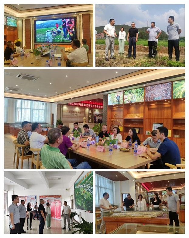 J9旗舰厅(中国区)官方网站