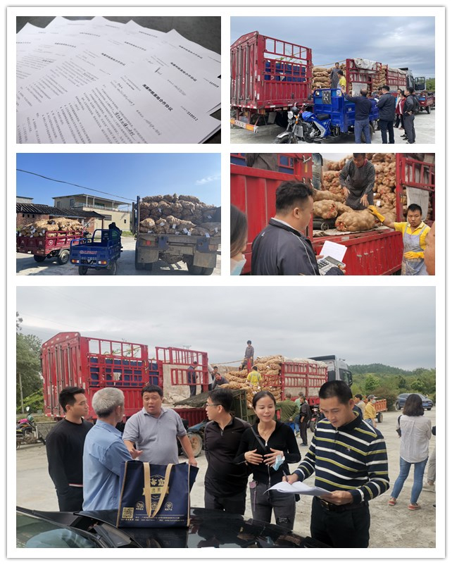 J9旗舰厅(中国区)官方网站