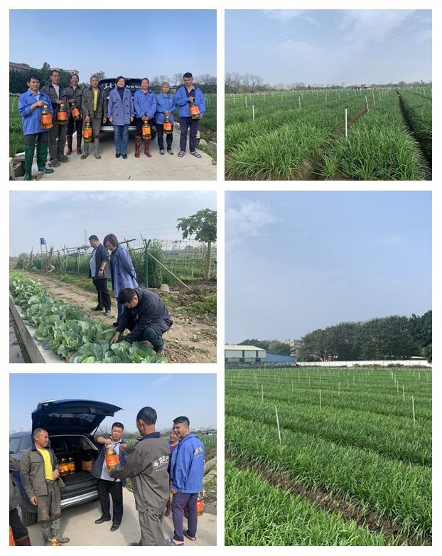 J9旗舰厅(中国区)官方网站