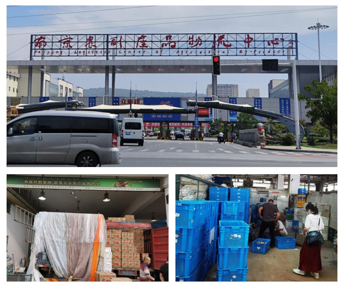 J9旗舰厅(中国区)官方网站