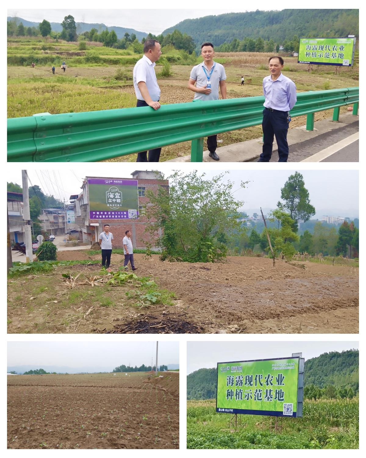 J9旗舰厅(中国区)官方网站