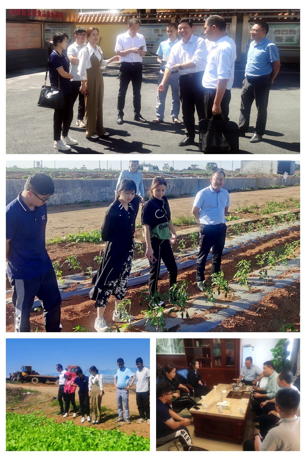 J9旗舰厅(中国区)官方网站