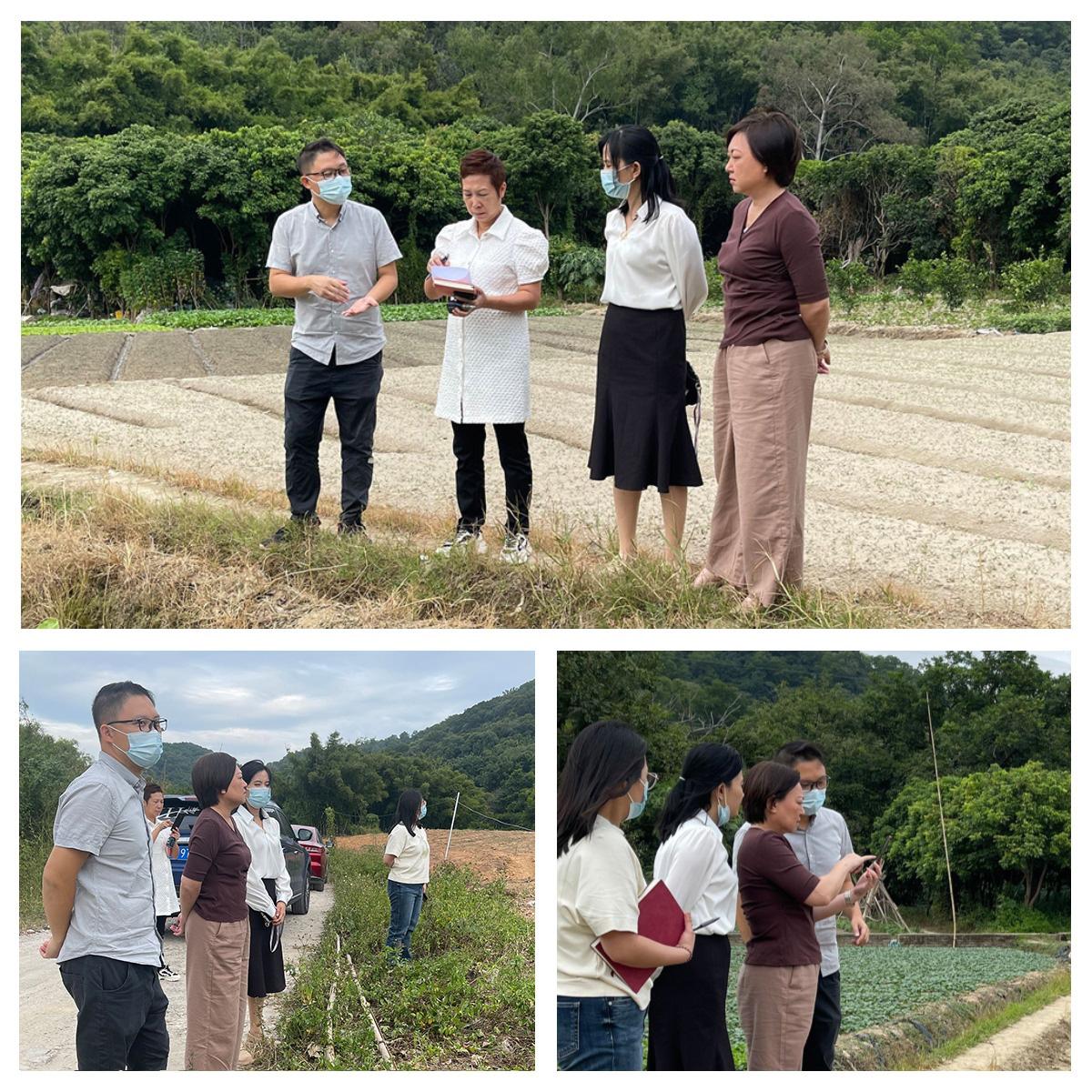 J9旗舰厅(中国区)官方网站