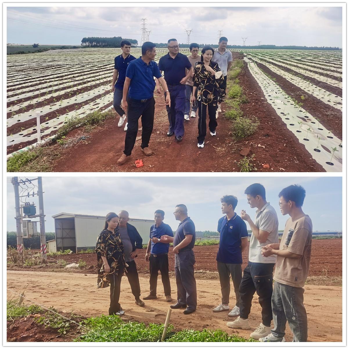 J9旗舰厅(中国区)官方网站