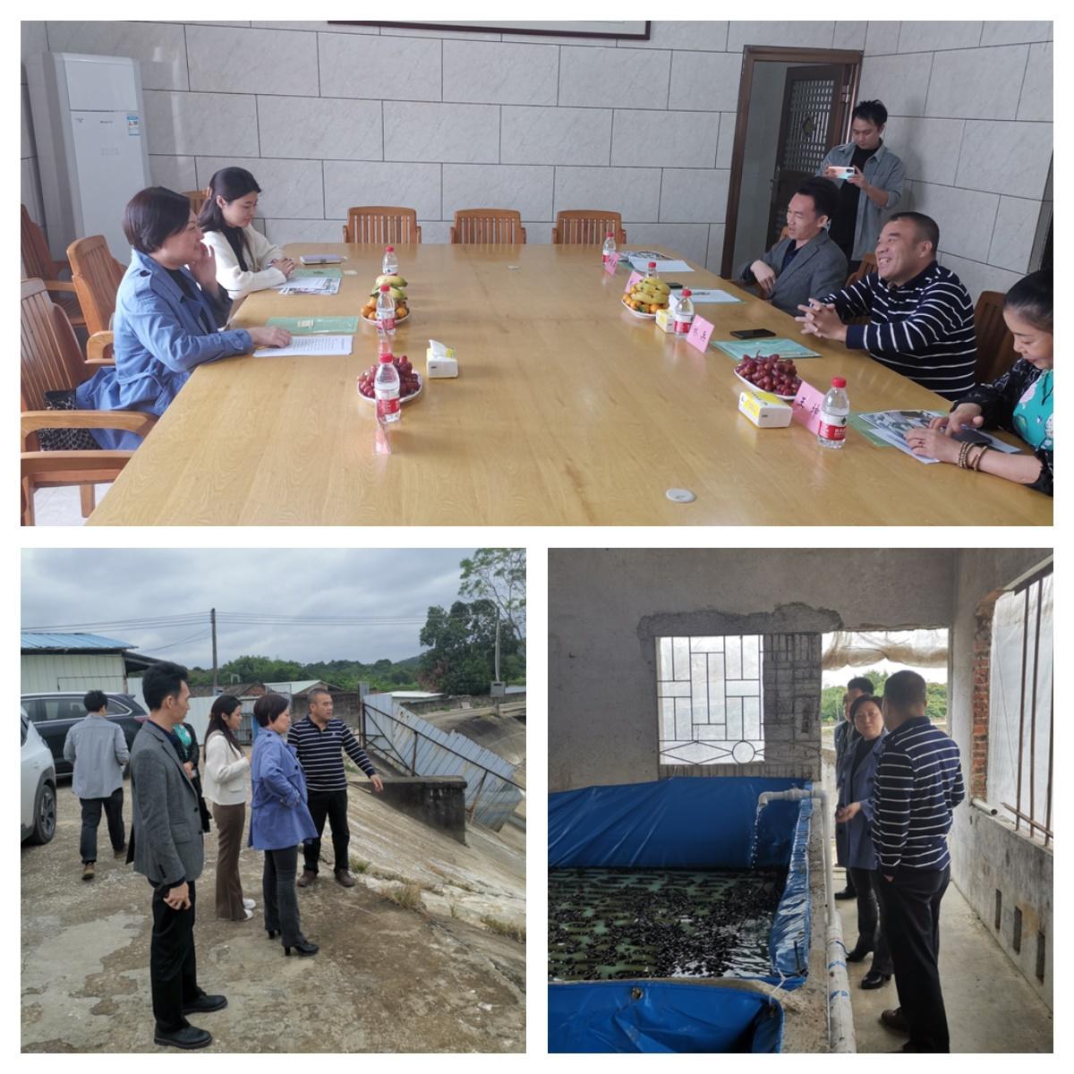 J9旗舰厅(中国区)官方网站