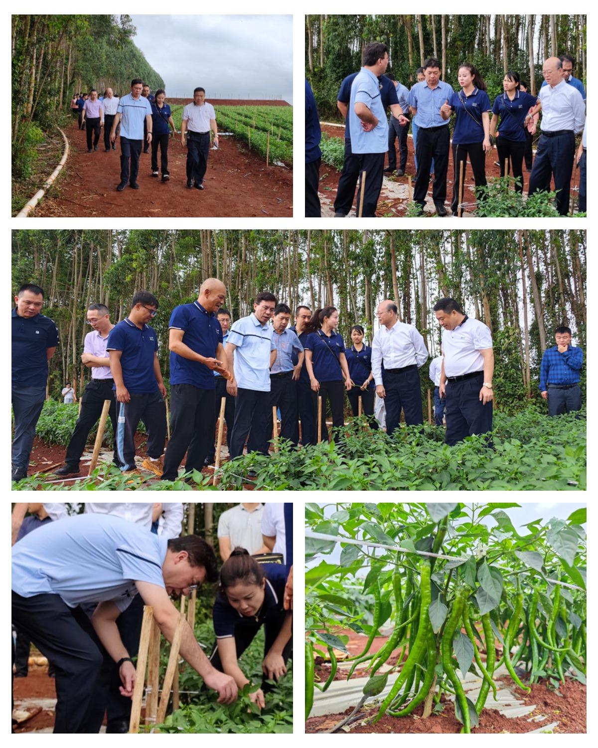 J9旗舰厅(中国区)官方网站