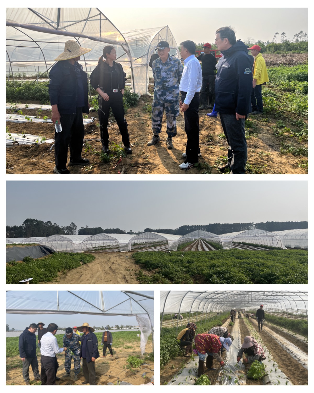 J9旗舰厅(中国区)官方网站