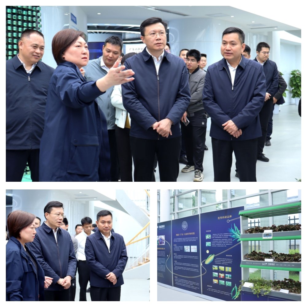 J9旗舰厅(中国区)官方网站