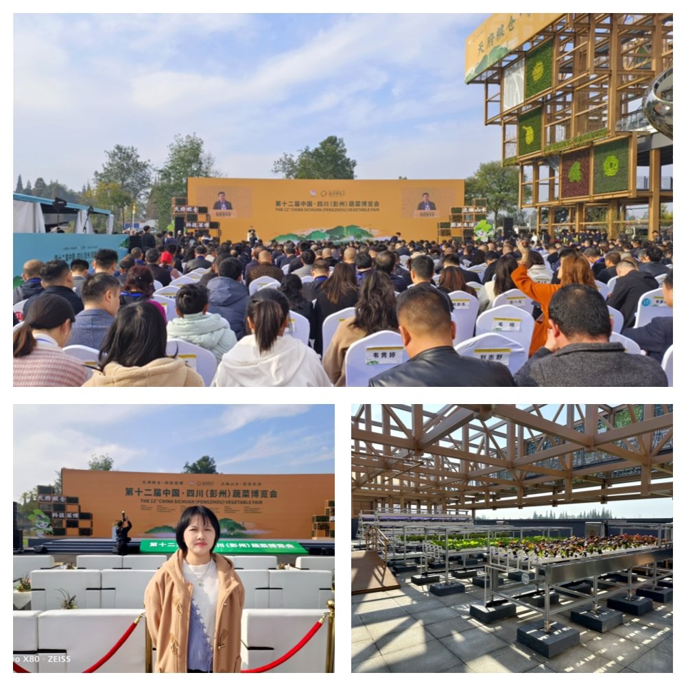 J9旗舰厅(中国区)官方网站