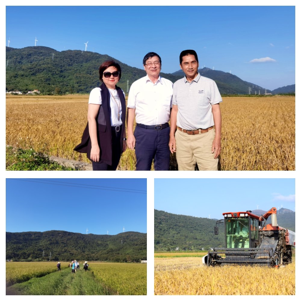 J9旗舰厅(中国区)官方网站