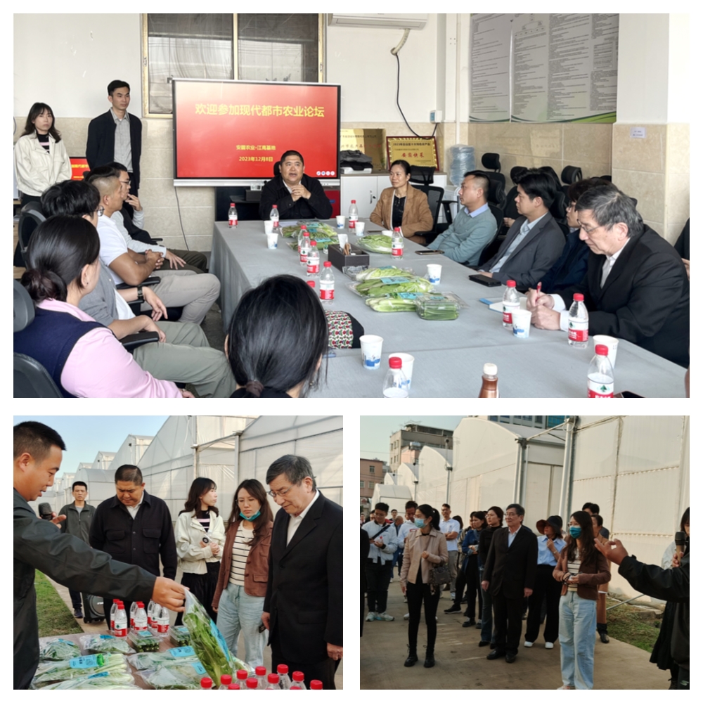 J9旗舰厅(中国区)官方网站