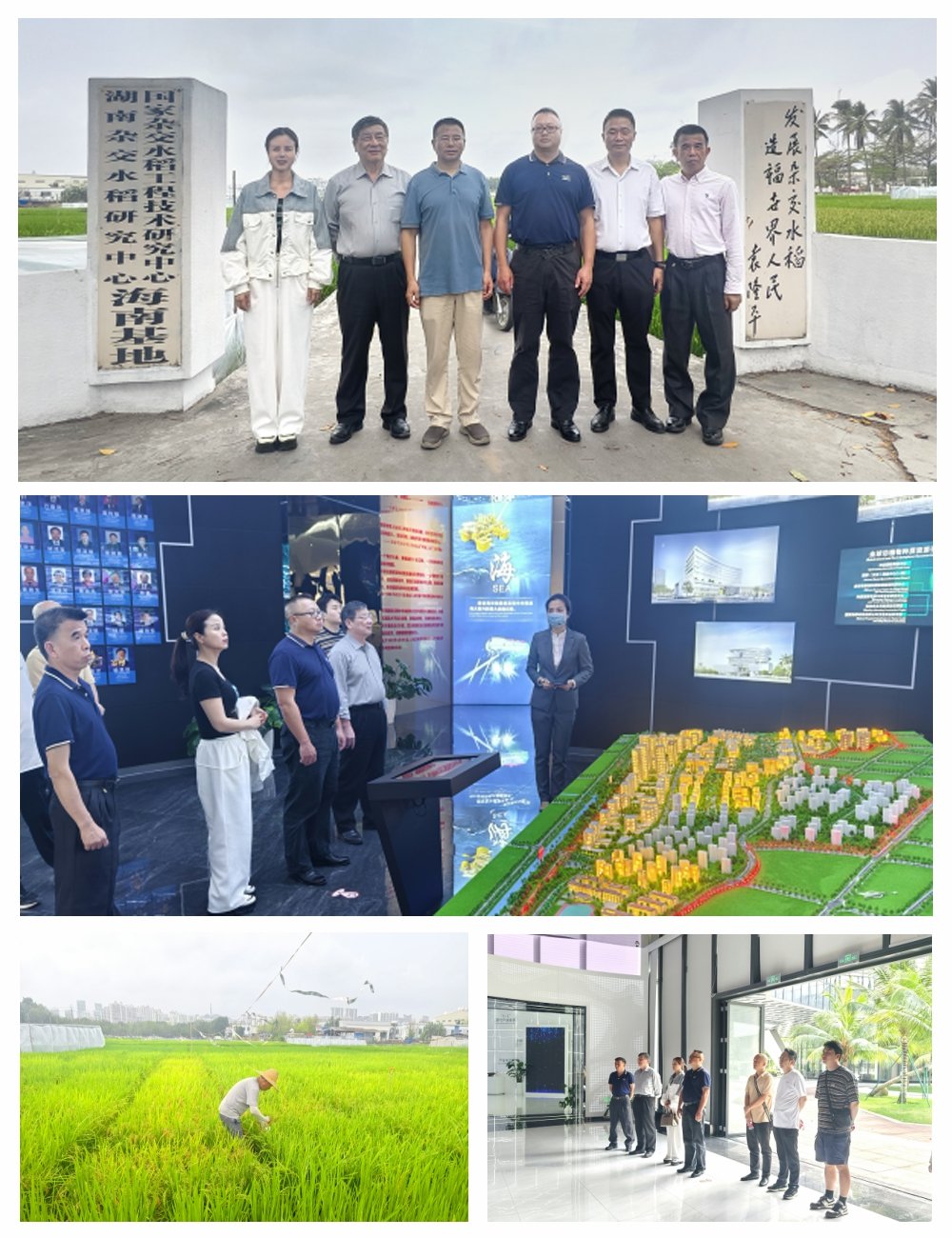 J9旗舰厅(中国区)官方网站