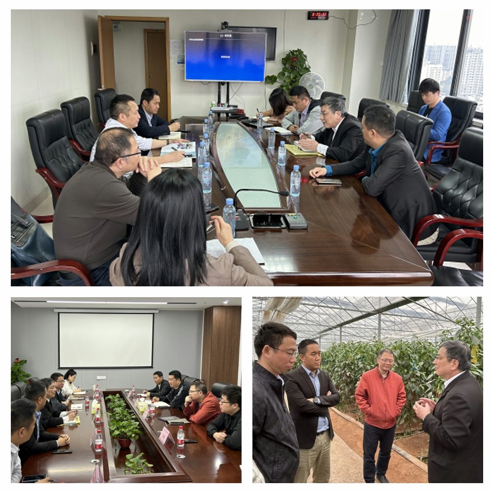 J9旗舰厅(中国区)官方网站